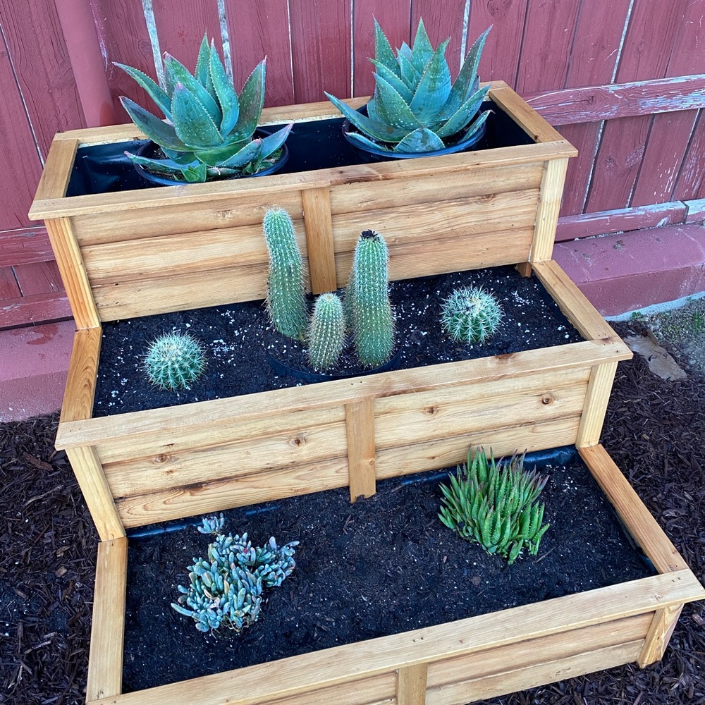 Meet your Posher, Jessie